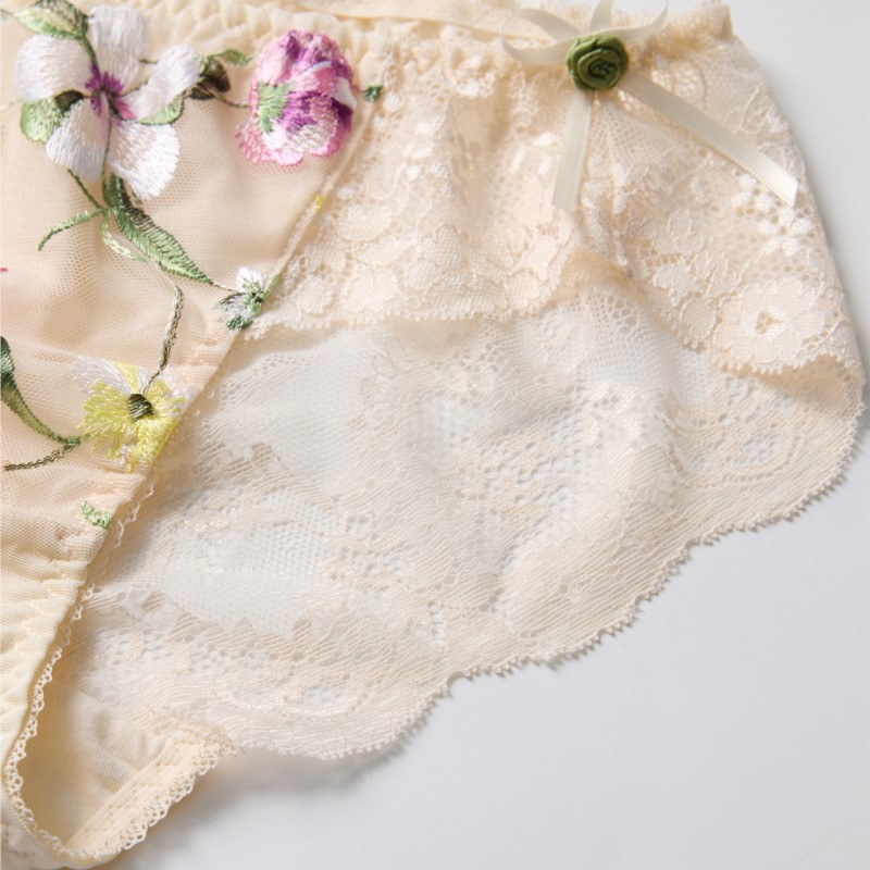 Durchsichtige Spitzenunterwäsc – Embroidery Knit Bewertung und Preis